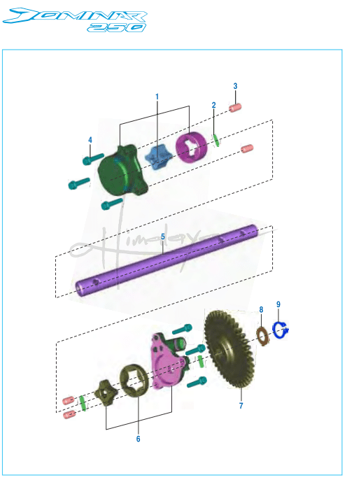 This is an image of Oil Pump Evacuation Pump - Dominar 250