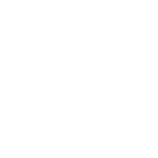 Suspension icon